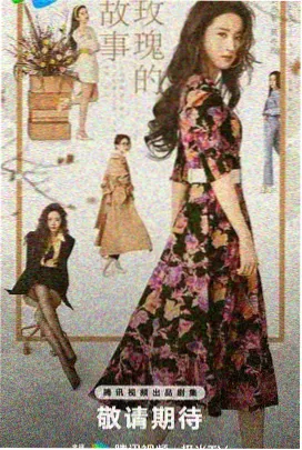 家有儿女 电视剧海报